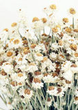 Shop All Artificial Flowers and Vases at Afloral.com Flower Delivery