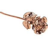Rose Gold Plated Lacquered Real Rose Great Gift for Mother??s Day