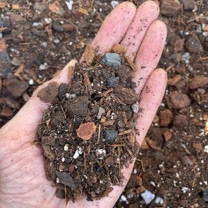 Cymbidium orchid potting mix,  Rich organic orchid mix, Soil based tropical plant potting medium, Small batch made and ready to ship