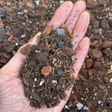 Cymbidium orchid potting mix,  Rich organic orchid mix, Soil based tropical plant potting medium, Small batch made and ready to ship