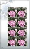 Tanzania 2009 - Peony Flower - Sheet of 8v - Scott 2544 - MNH