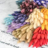 Natural Dried Flower Rabbit Tail Pampas Reed Bouquet Wedding Party Decoration