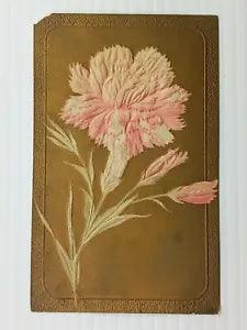 Vintage Postcard 1911 Carnation Flower with Gold Background Embossed
