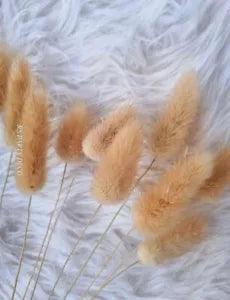 RELl Happy FLOWER Natural Dried Flowers Hand Picked Pure Dried Home Table Bouqu