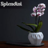Pot Cover | Various Colours | Orchid Cover | Organic Plant Cover | Covers for Plants | Stylish Decoration | 3d Printed