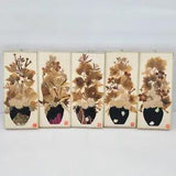 Framed Wood Dried Pressed Flower Wall D???cor Frames Chinese Lot of 5 Red Signed