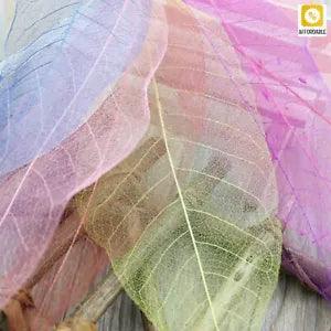 Magnolia Dried Leaves Natural Furnishings Forest Magnolia Leaf Specimens 30Pcs