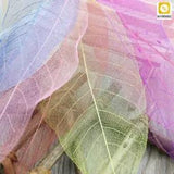 Magnolia Dried Leaves Natural Furnishings Forest Magnolia Leaf Specimens 30Pcs