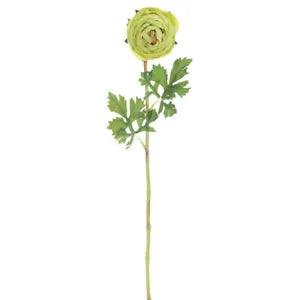 Vickerman 23" Green Ranunculus Stem 4/Pk - FQ180704