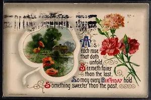 BV022 ART NOUVEAU BIRTHDAY CARNATIONS LANDSCAPE in FRAME Embossed WINSCH Back