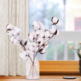 Natural Dried Cotton Stems Farmhouse Artificial Flower  Floral  home Decor New