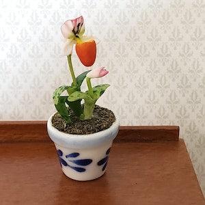 Dollhouse Potted Orchid Pink & White Flowering Plant in Ceramic Pot 1:12 Scale