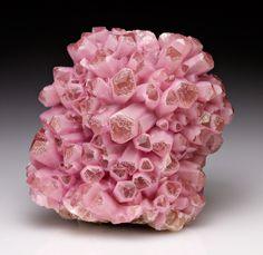 Rockhound Revival Flower Delivery