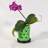 Honeycomb Orchid Pot - Small