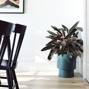 Hunter Green High Rise Pedestal Planter Pot, Indoor Decorative Floor Planter, Aesthetic Planter Pot, Modern Plant Pot with Drainage Hole