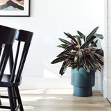 Hunter Green High Rise Pedestal Planter Pot, Indoor Decorative Floor Planter, Aesthetic Planter Pot, Modern Plant Pot with Drainage Hole