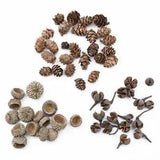 20 Pcs Natural Dried flowers Pine cone Acorn Artificial Flower Home Christmas