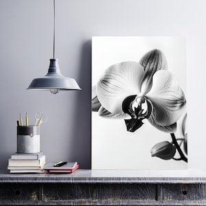 Black and White Orchid Print, Flower Art, Flower Wall Art, Wall Art Prints, Floral Prints, Flower Photography, Orchid Prints, Botany Prints