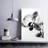 Black and White Orchid Print, Flower Art, Flower Wall Art, Wall Art Prints, Floral Prints, Flower Photography, Orchid Prints, Botany Prints
