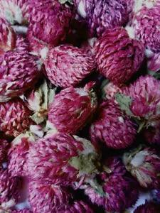 Globe Amaranth Flowers - Gomphrena globosa Dried Organic Apothecary Crafts Wicca
