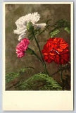 Flowers~Thor E Gyger~Garden Pink Dianthus~Carnations~2927~Vintage Postcard