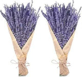 Dried Lavender Bundles, Uieke Natural Dried Lavender Flowers 280-300 Stems 16??? f