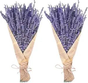 Dried Lavender Bundles,  Natural Dried Lavender Flowers 280-300 Stems 16??? for Ho