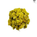 Dried Helichrysum Immortelle Everlasting Flowers 85g(3 oz) - 1.95Kg(68.8 oz)