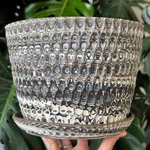 Unglazed White Black Marbled Agateware Clay Terracotta Planter Pot with Holes and Optional Saucer