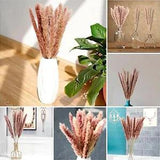 Pampas Grass Decoration Dried Bouquet Boho Style Interior Lying Decoration