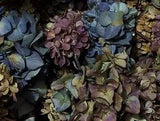 Dried Hydrangea Flowers, 20 + Pieces Lt Blue, Purple, Green + Cream DIY Crafts