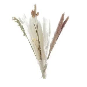 30Pcs Real Dried Pampas Grass Bunch Bouquet Reed Flowers Decor Wedding Gift