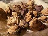 dried roses: 18 medium sized dark beige