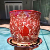 Beautiful "Asian Orchid" Crystalline Indoor Planter