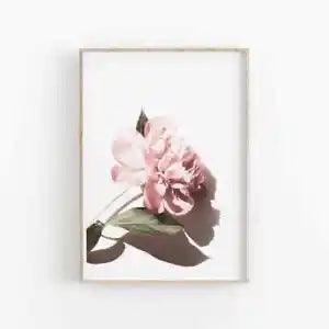 Peony Flowers Wall Art Poster Premium Quality Choose your Size