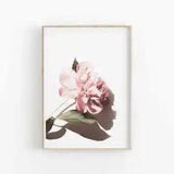Peony Flowers Wall Art Poster Premium Quality Choose your Size
