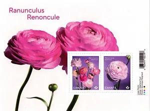 2023 Canada Ranunculus Souvenir Sheet 2 Stamps Flowers