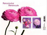 2023 Canada Ranunculus Souvenir Sheet 2 Stamps Flowers