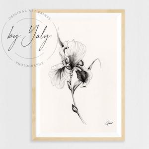Orchid Hand Drawn Ink Illustration, Black Ink Orchid Wall Art Print, Fine Art Orchid Flower Drawing, Black Ink Botanical Illustration