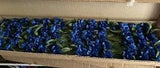 2 dz.  CARNATIONS Silk flower lot 3 picks per stem 72 heads & buds ROYAL BLUE