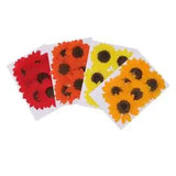6 Pieces Natural Real Flowers  Dried Flower DIY Craft