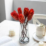 Natural Africa Snow Lotus Dried Flowers Inside Room Decoration Party Accessories