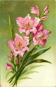 Antique Postcard Made In Germany Pink Lilies Embossed Gilded Unposted