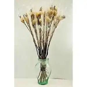 Dried Ivory Floral Flowers Craft Asian Willow Decorative Branches Bundle 37"