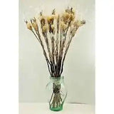 Dried Ivory Floral Flowers Craft Asian Willow Decorative Branches Bundle 37"