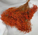 NATURAL AIR DRIED DYED ORANGE BROOM BLOOM - FLORAL FOLIAGE FILLER