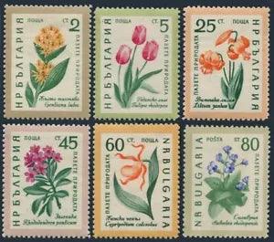 Bulgaria 1107-1112,MNH.Michel 1164-1169. Flowers 1960:Yellow gentian,Tulips,Lily