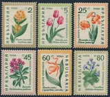 Bulgaria 1107-1112,MNH.Michel 1164-1169. Flowers 1960:Yellow gentian,Tulips,Lily