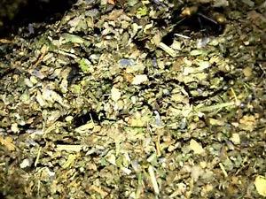 No.14 Mix - White Sage Poppy Hops Skull Wild Lettuce Jasmine +herbs! - 2 Ounce's