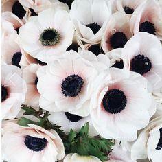 Lewis Miller Design Flower Delivery